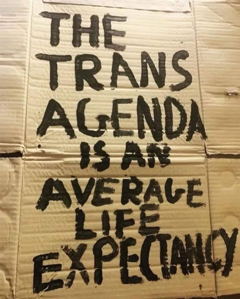 a cardboard sign with words painted in black paint: "The trans agenda is an average life expectancy"
